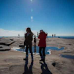 Meet your Posher, Chelsea